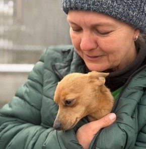 ������� �������, ������� ����� ������ ������ ���� ���������� ������� �����