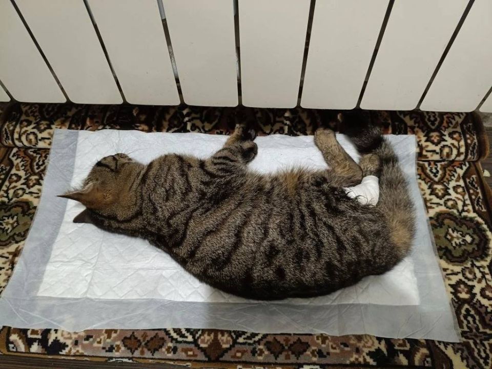 ���������� ���� �� ��������� ����� ������ ��������� �������������