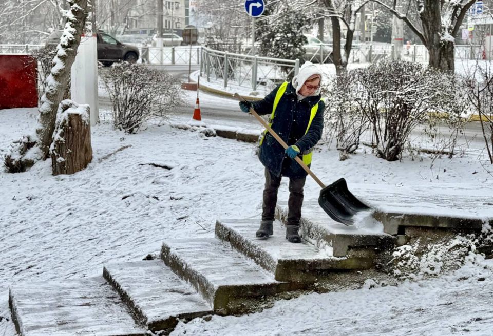 � ������ ���� ������� ����������� �� ������ � �������� � ��������������� ������ � �������