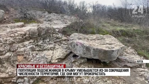 ����� �� ������: � ����� ����������� ������������ ����������