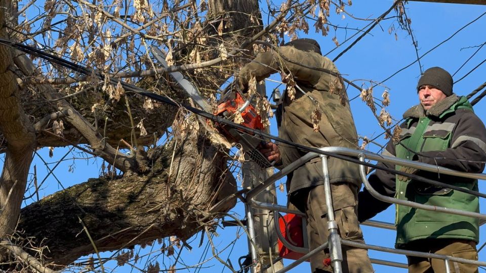 ���� ��������: ��������� ���������� ������ ���������� ��������� ��������� ������������, ���������� ������� � ���� ��������� ��������