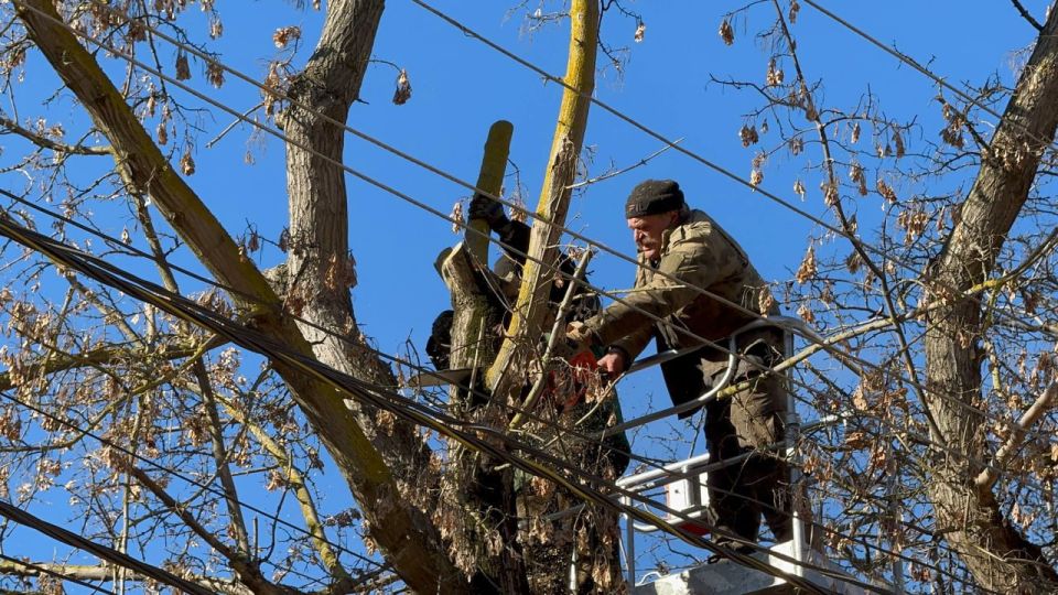 ���� ��������: ��������� ���������� ������ ���������� ��������� ��������� ������������, ���������� ������� � ���� ��������� ��������