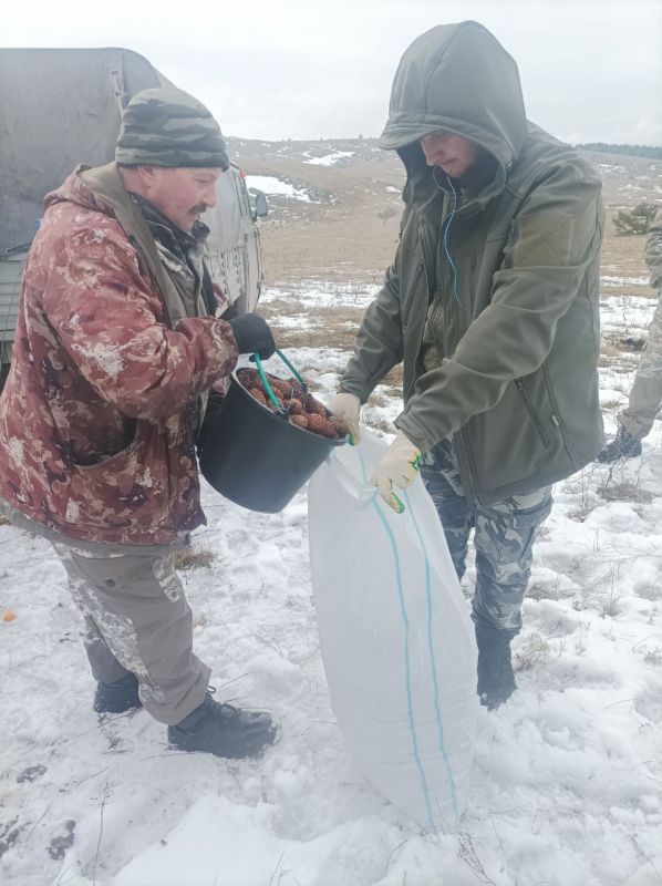 � ����� �������� ��������� ����� ������� ������ �����