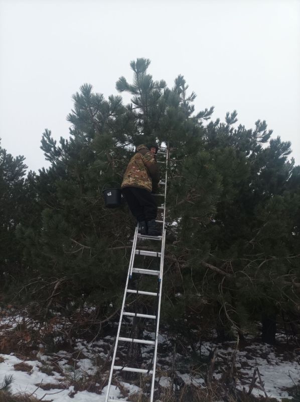 � ����� �������� ��������� ����� ������� ������ �����