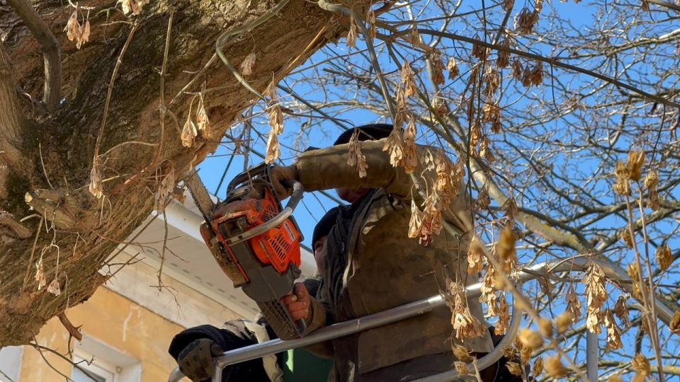 ���� ��������: ��������� ���������� ������ ���������� ��������� ��������� ������������, ���������� ������� � ���� ��������� ��������