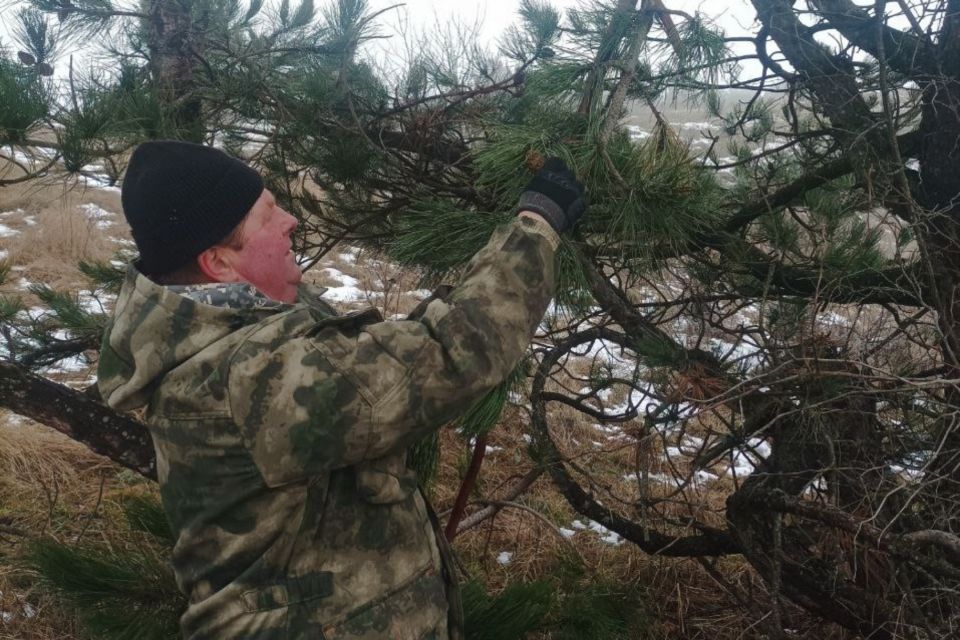 � ����� �������� ��������� ����� ������� ������ �����