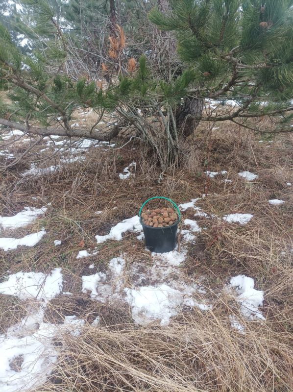 � ����� �������� ��������� ����� ������� ������ �����