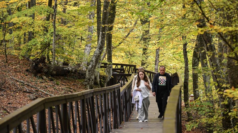 ������ ������� ��� ������ ����� �������� � ����������