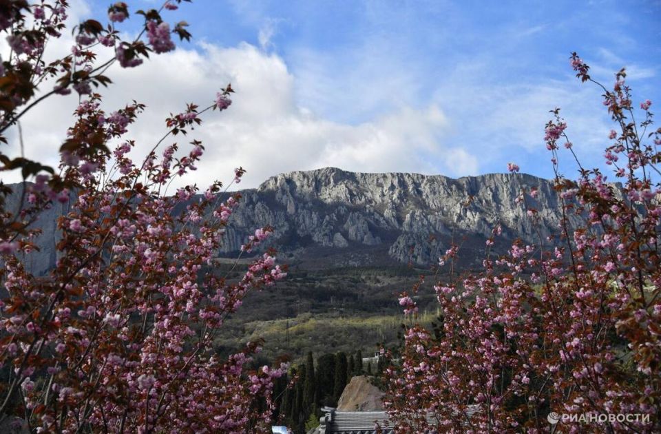 ���� ����� � ���-10 ����������� ��� ��������� ������