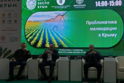 ������� ���������� � ��������������� �������� �� �������������� ������ � ������ �������������� 2026�