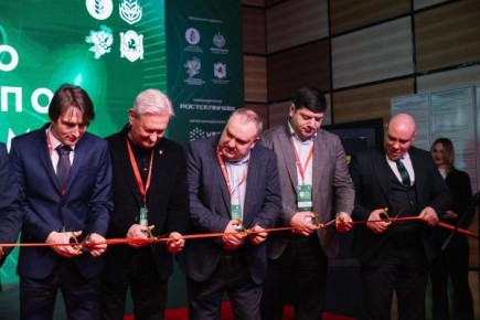 � ����������� �������� XIV �������� �������� ��������������