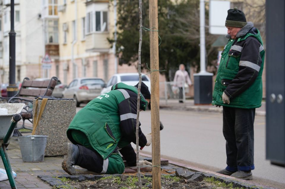 На у. Пирогова восстанавливают плитку На у. Пирогова восстанавливают плитку