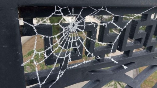 ����� ��������� ����� � ���� �������� ������