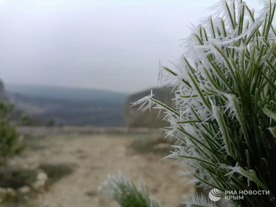 ������ �������� � ���� �� ��������� ������