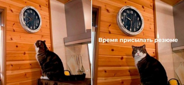 Подразделение Международной медиагруппы "Россия сегодня" в Крыму расширяется!