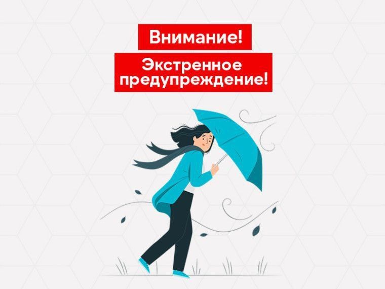 ���������� �������������� �� ������� ���������������������� �������� �� ���������� ���� �� 15 ������� 2026 ����