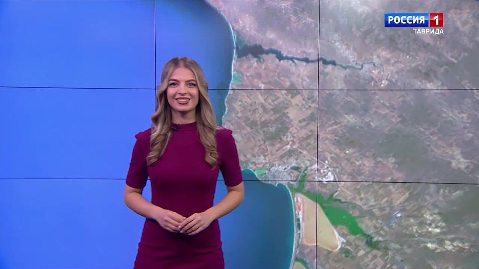 ������� ������ � ����� �� 14 �������