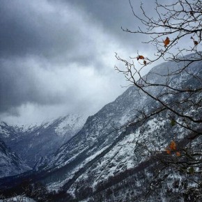 15 ������� � ����� ��������� ������� �����