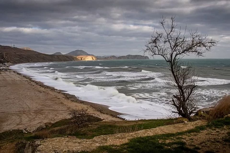 Штормовой ветер до 25 м/с будет бушевать в Крыму 15 и 16 февраля