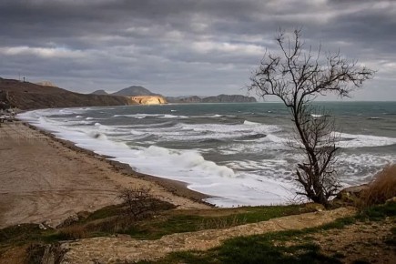 ��������� ����� �� 25 �/� ����� �������� � ����� 15 � 16 �������