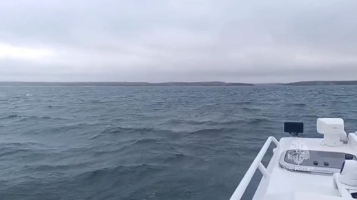 ����� ������ ������������ ������� � ��������� ��������� ���� �������� � ��� ������