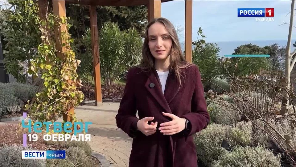 «Метеовести» Вести Крым: прогноз погоды на неделю