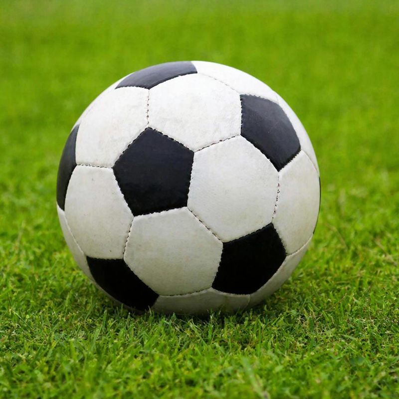 ������ � ��˻: ���������� ���������� ��������� � ����������� �� ������ ���� � ���������� ������