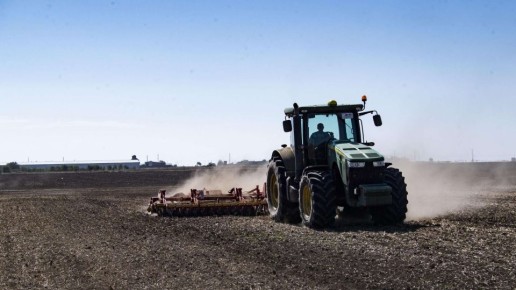 В Крыму приступили к севу яровых