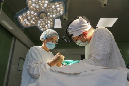 ��������-���������� �������� � ������� ���������������: � ����� ��������� ����������� ������������������� ���������