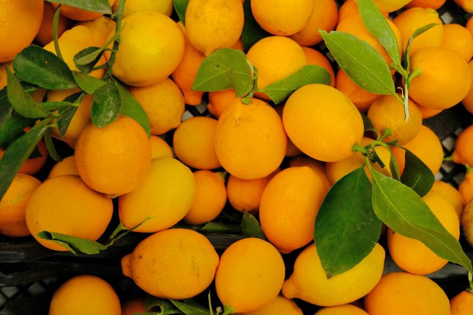 �������� ������ ������ ��������: ��� ������� ������ ����� �� ���������� ������