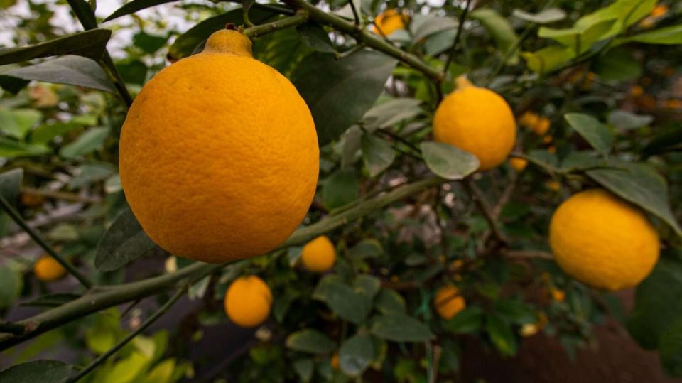 ����������� ������: ��� �������� ������ ����� ����� ��� ���� ������