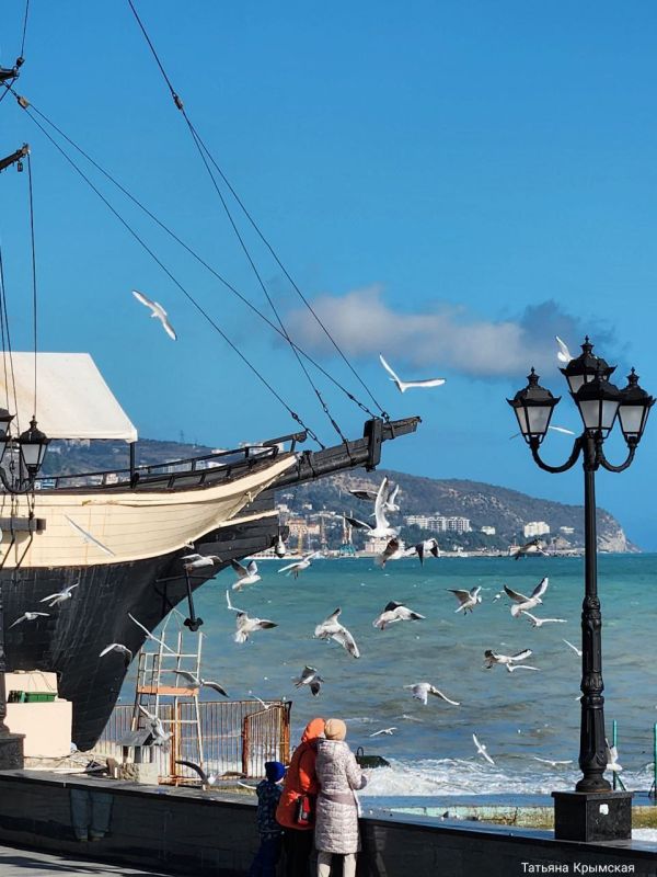 � ���� ������� ������.. ������� ��������. 0