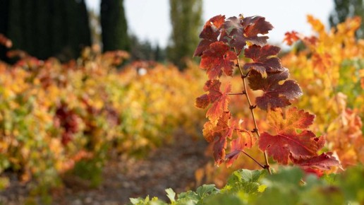 ���� � ������������: ��� ����������� ���������������� �������� � �����