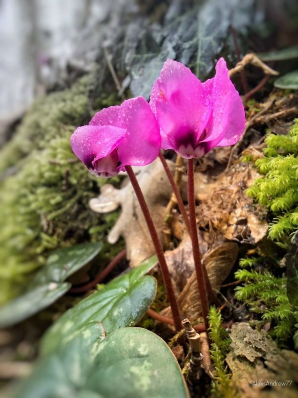 ������� �������� � ����������� �������� ����