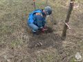 Четыре взрывоопасных предмета уничтожили в Крыму