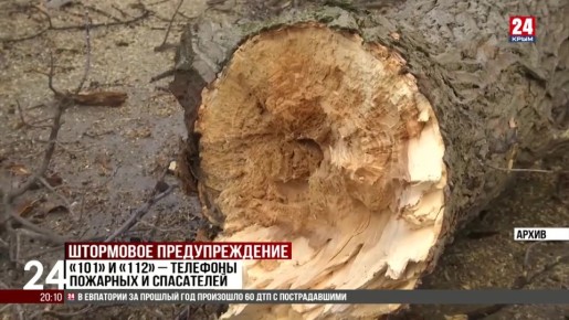 ��������� �������������� �������� � �����