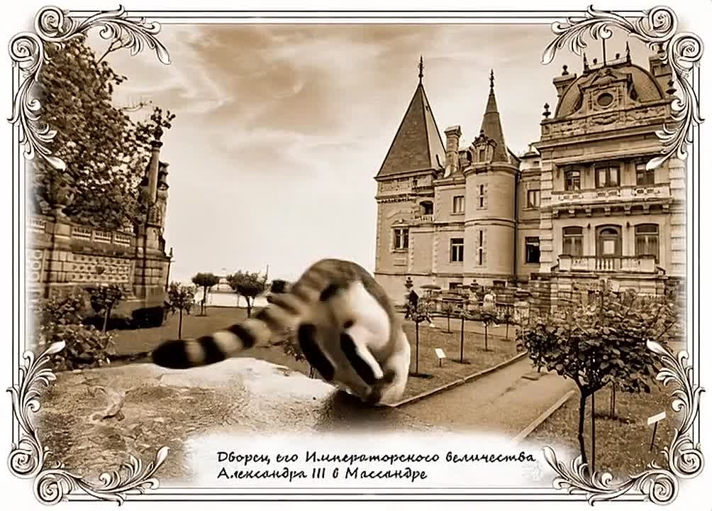 Кот Мостик: Легкий прыжок – и ты уже царских кровей