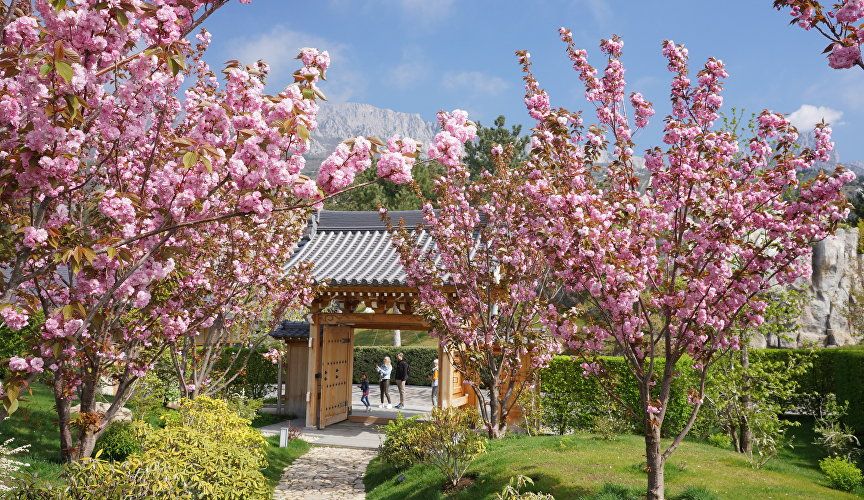 ���� ������ � �����: ��� ��� ������ ��������� ��������� ������