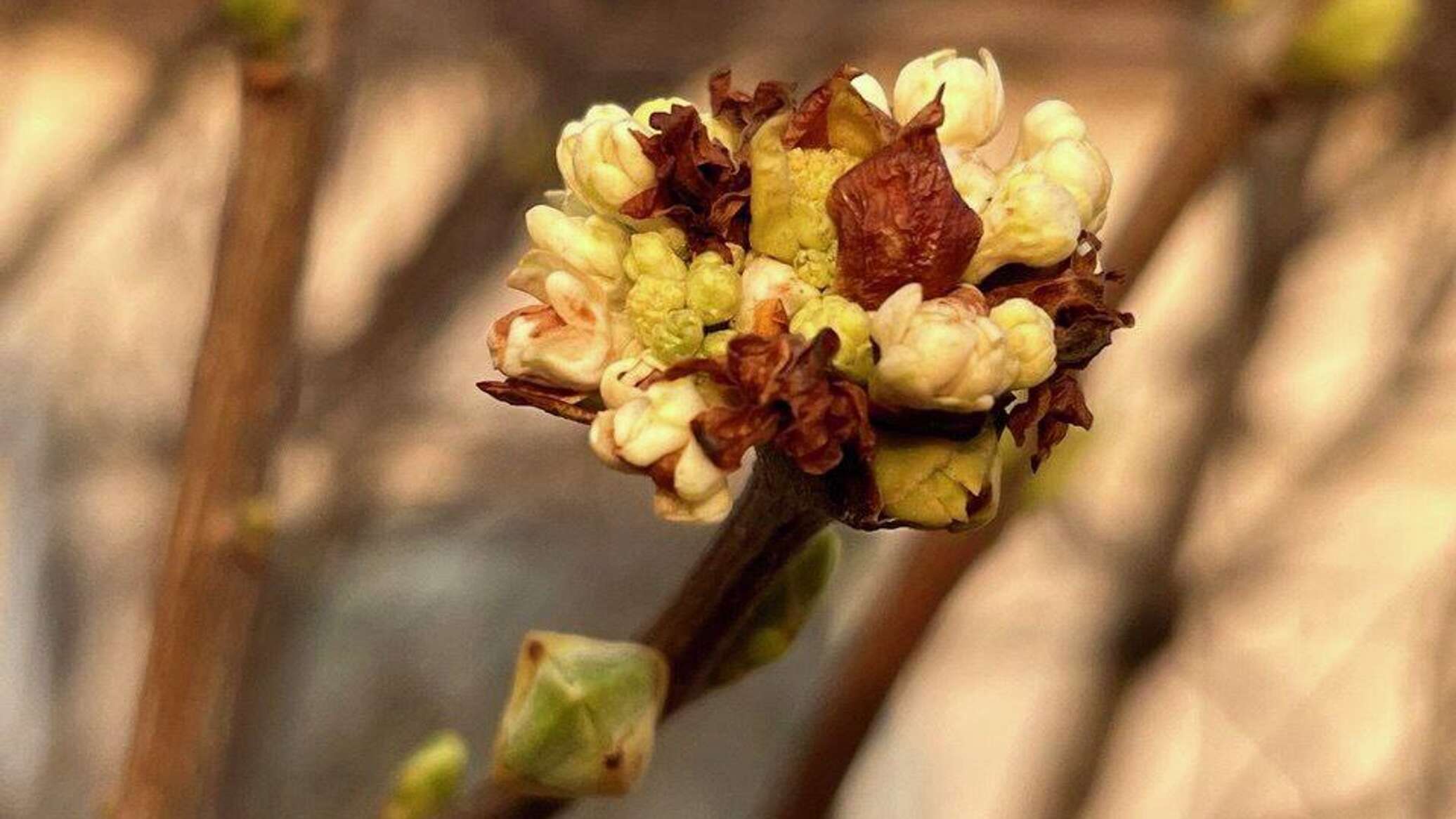 Когда в Крым придет весна