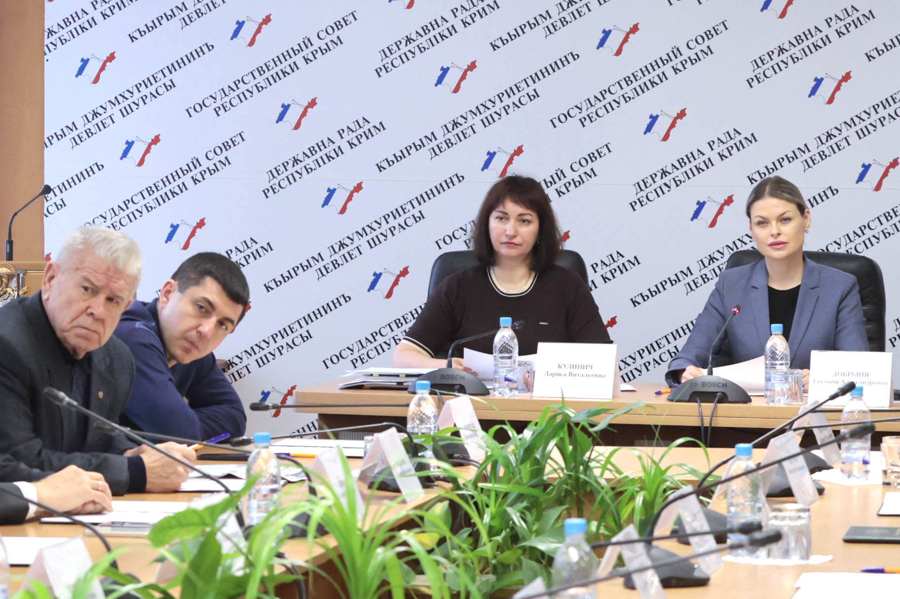 В муниципальную собственность Плодовского сельского поселения Бахчисарайского района будут переданы два земельных участка – Лариса Кулинич