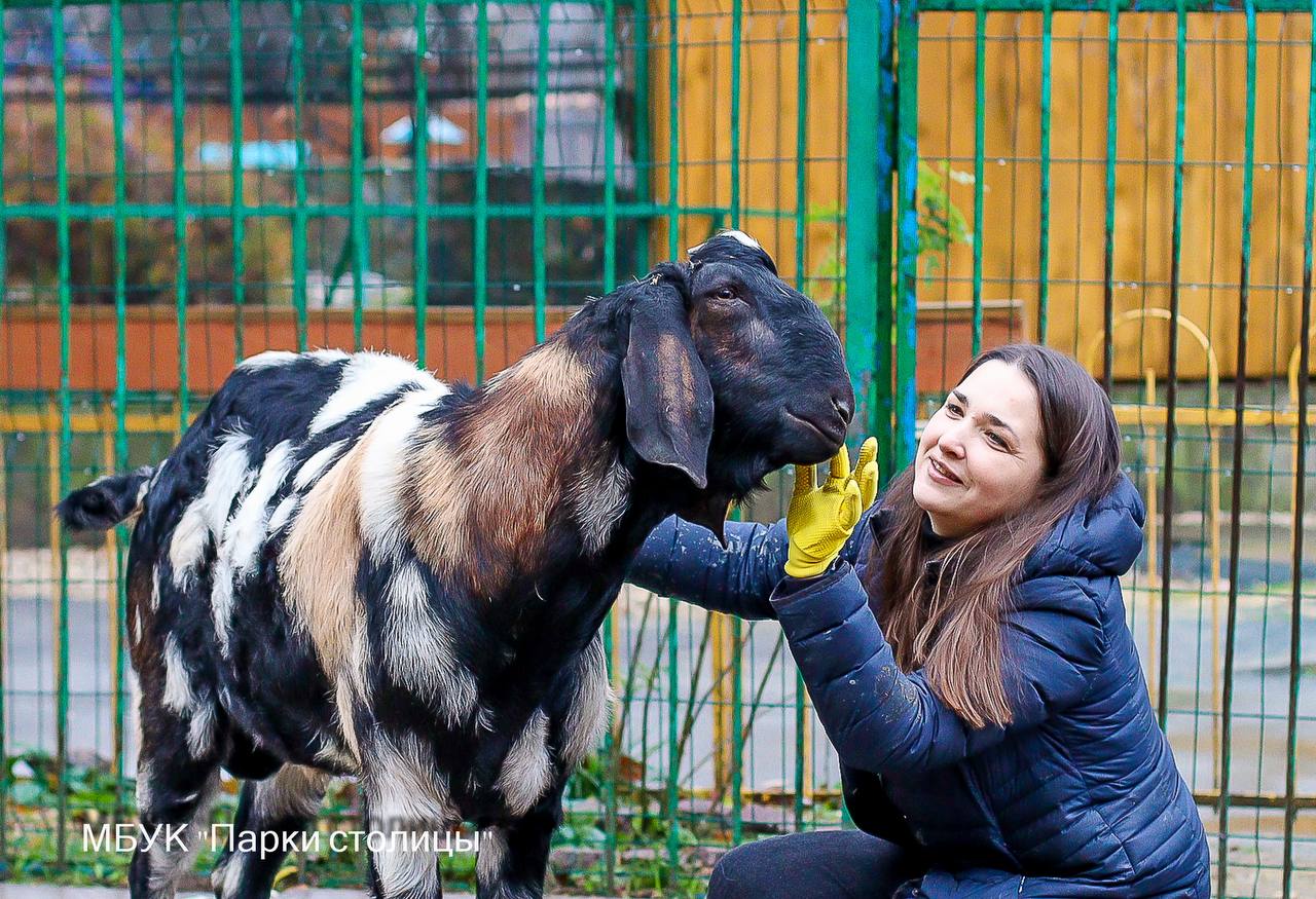 Сегодня День полосок и пятнышек — милый праздник, который заставляет улыбнуться Сегодня День полосок и пятнышек — милый праздник, который заставляет улыбнуться