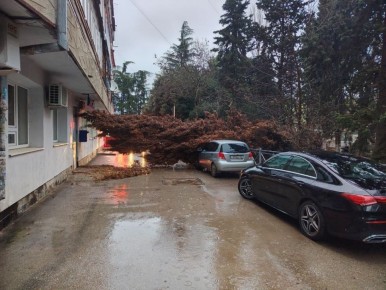 � ������ �� ��. ��������� �������� ������� ������ ����� �� �������������� ����������