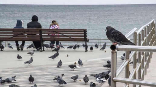 ������� ���� ��� �������� ������� ������ � �����