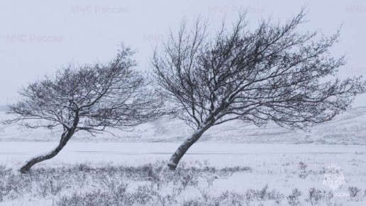 Снегопад с сильным холодным ветром накроют Крым