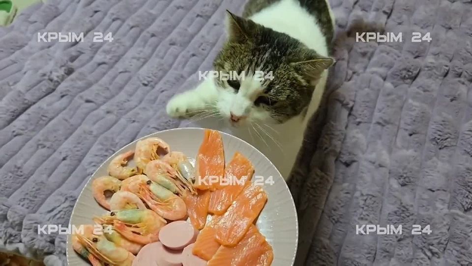 ����� ��� ����� �������� ����� ����� ���� �� ����� ��� ������ ���������� ������