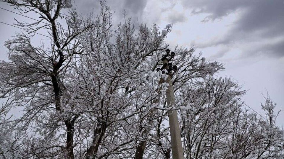 ������ ���������� ������� ������������ ������ ����� �������� ��� �����