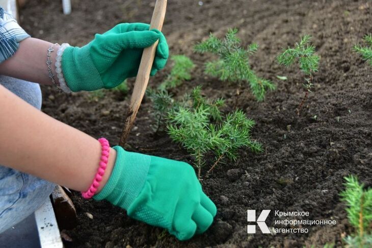 � ������ ����� ������� ���� ������������������� �������