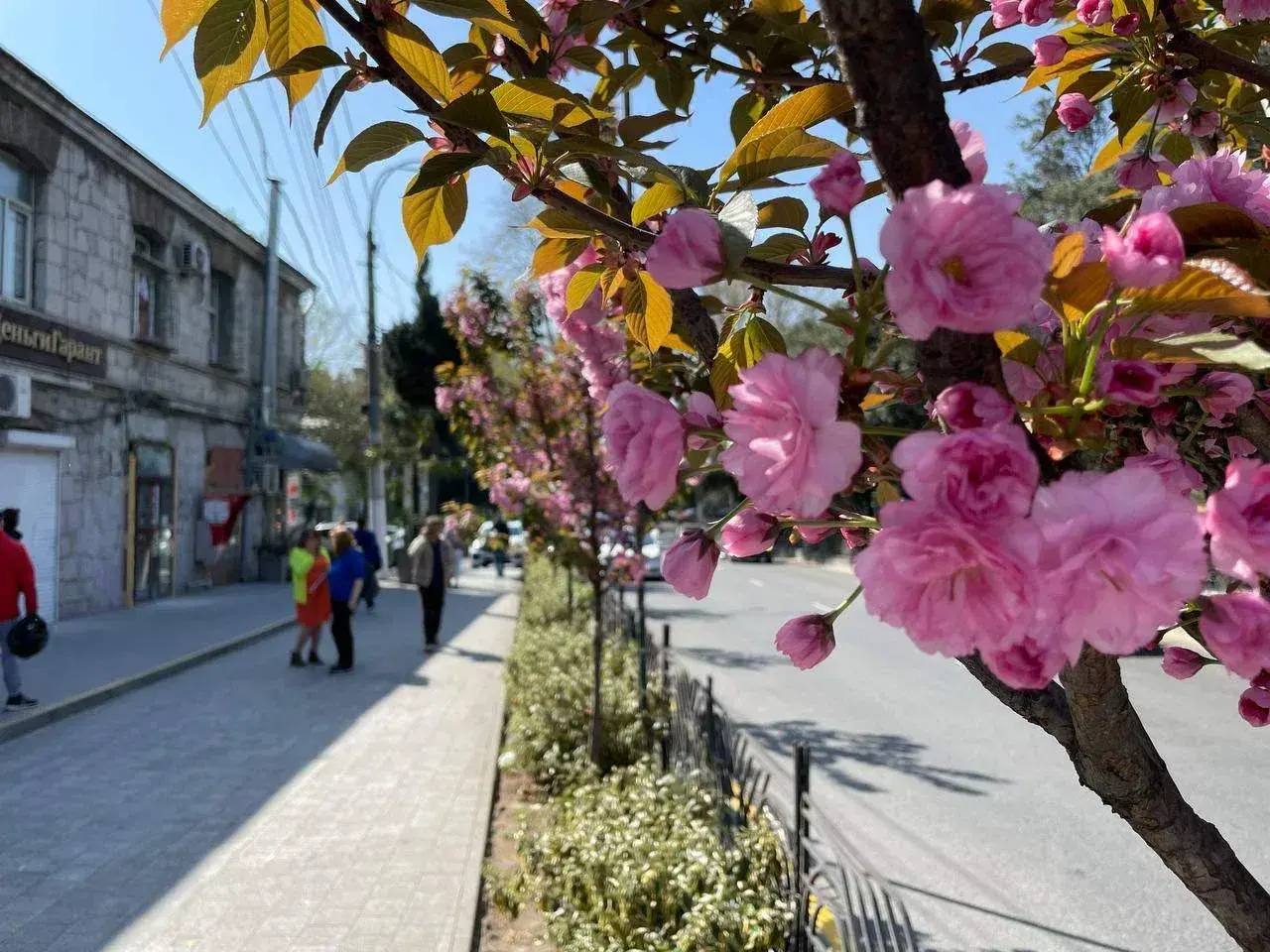 Янина Павленко: Три дня до весны Ялта готовится к курортному сезону – к встрече с любимыми гостями Янина Павленко: Три дня до весны Ялта готовится к курортному сезону – к встрече с любимыми гостями