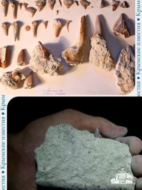 ���� ���������� ���������� � ����������� ������� �� ������ ���������� � ���� ���������, ��� ��� �����������