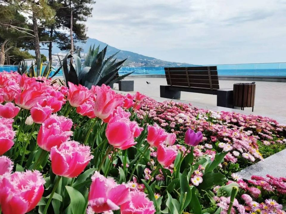 � ������ ����� ���� ������ �������� � ���������� ������